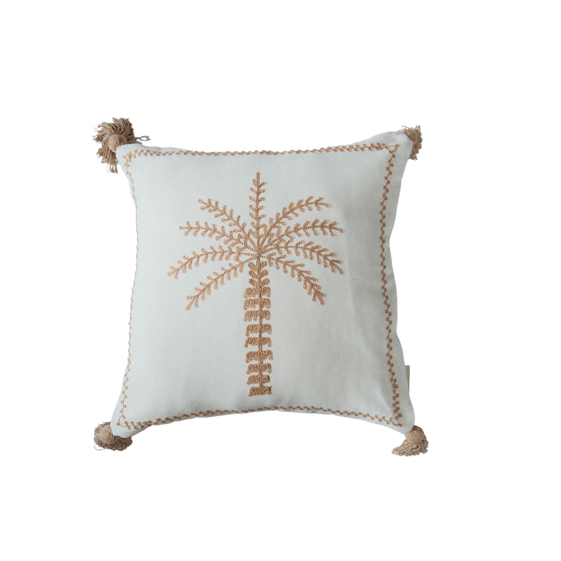 Sun-Kissed Palm｜金色陽光下的棕櫚樹