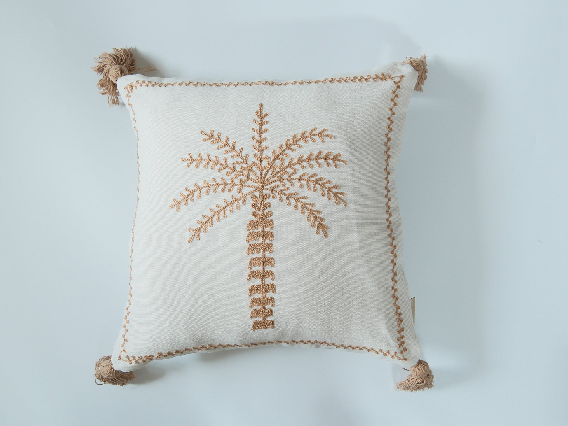 Sun-Kissed Palm｜金色陽光下的棕櫚樹