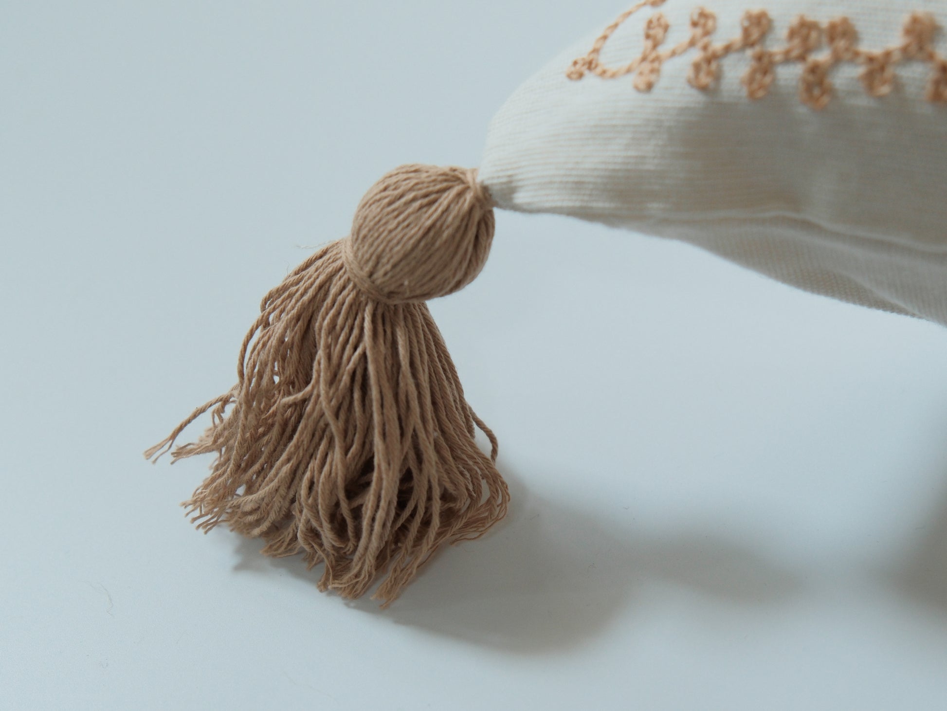 Sun-Kissed Palm｜金色陽光下的棕櫚樹