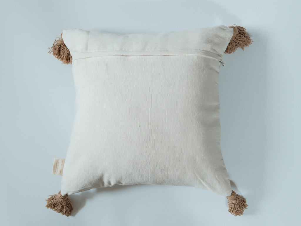 Sun-Kissed Palm｜金色陽光下的棕櫚樹