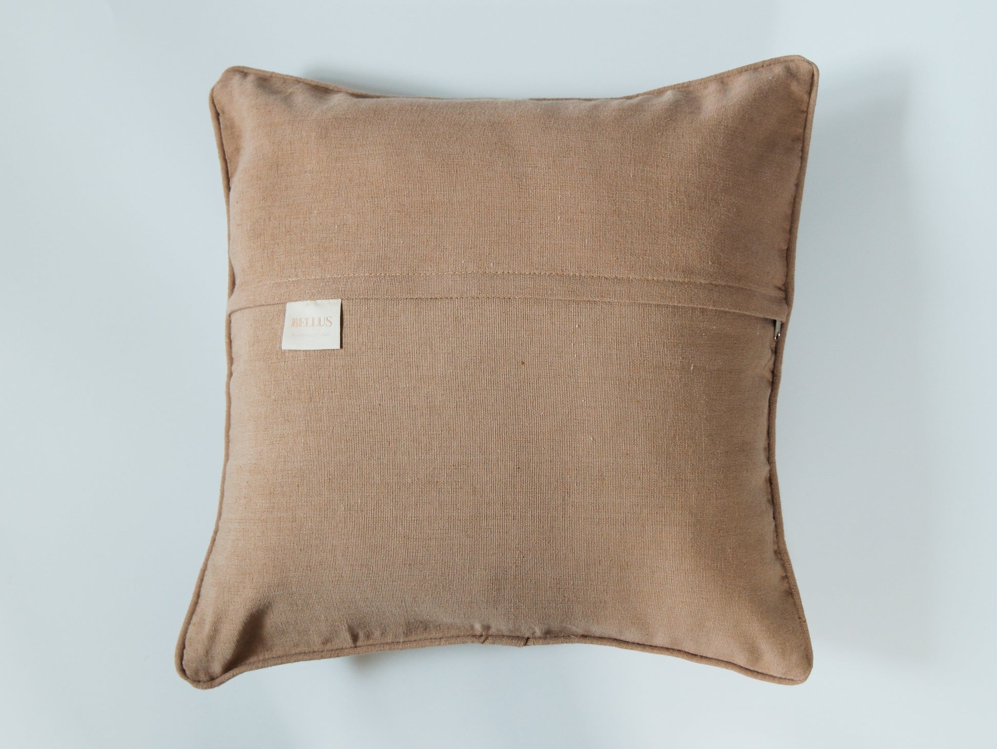 Fuzzy Palm Pals ｜毛絨絨的棕櫚夥伴