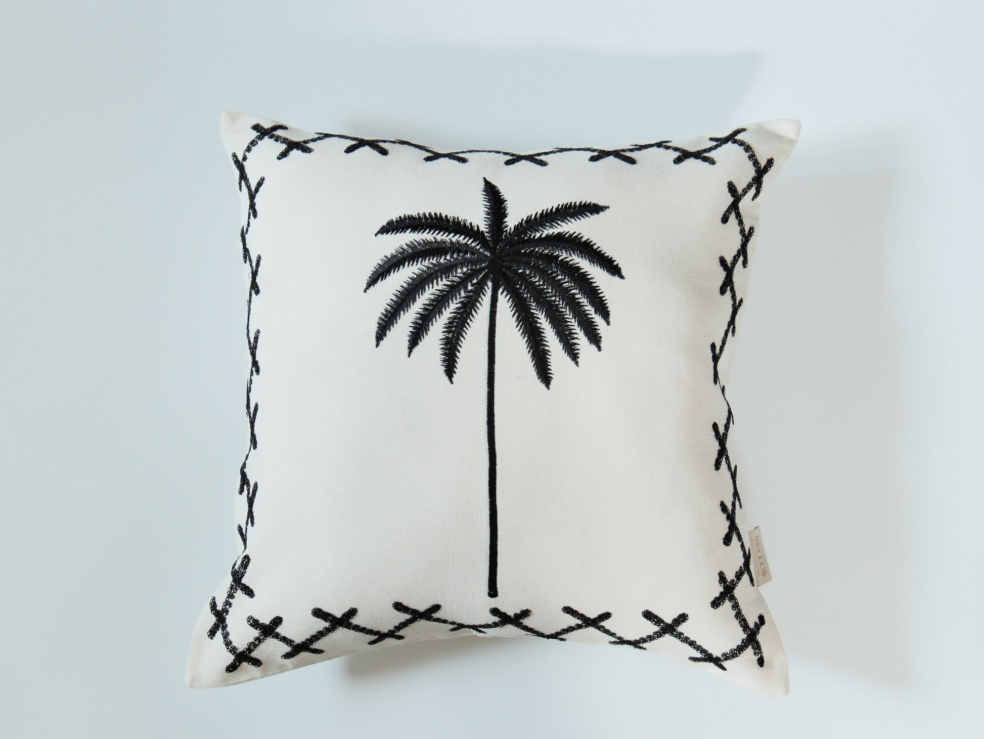 Midnight Palm｜星夜棕櫚