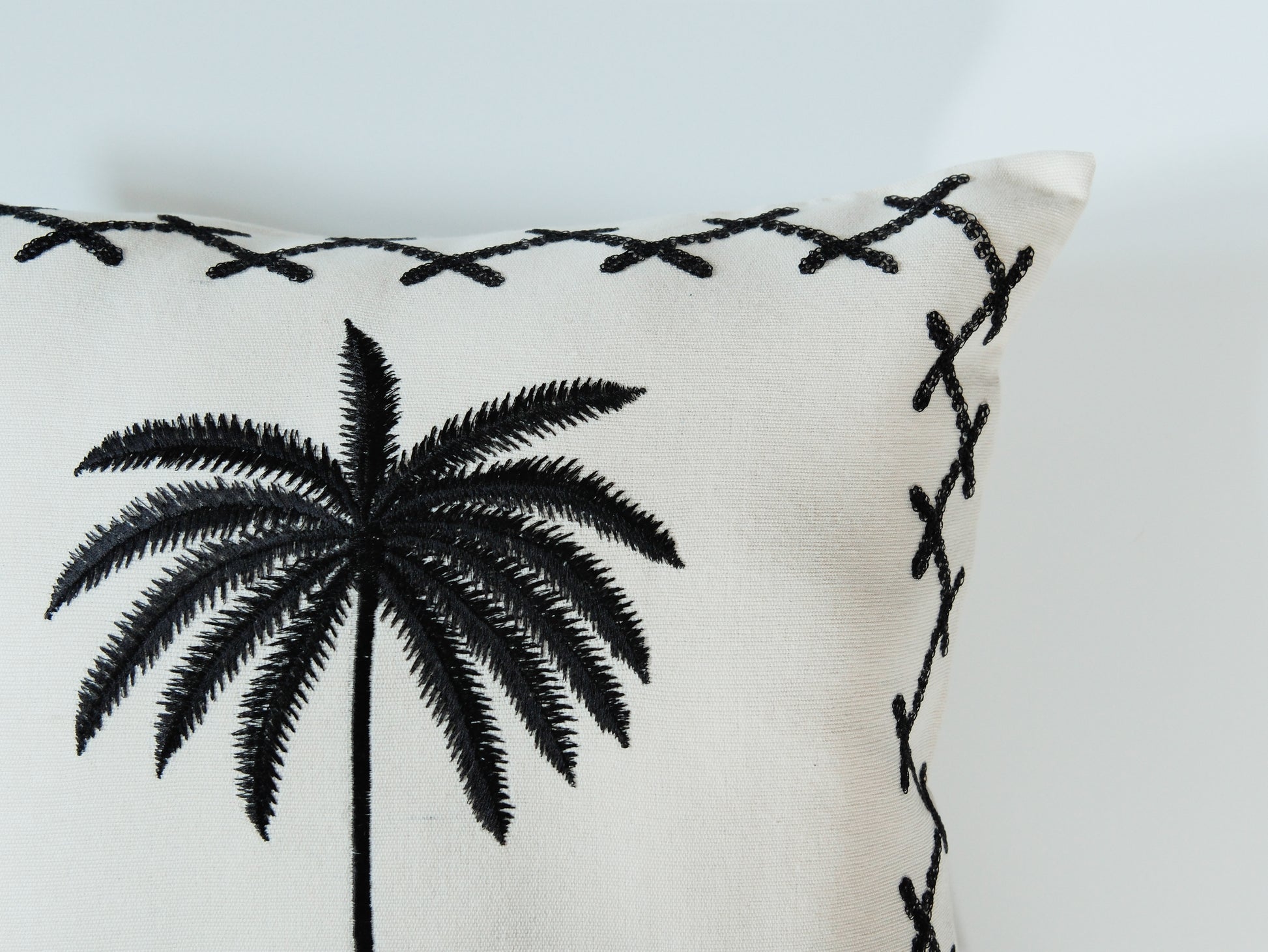 Midnight Palm｜星夜棕櫚