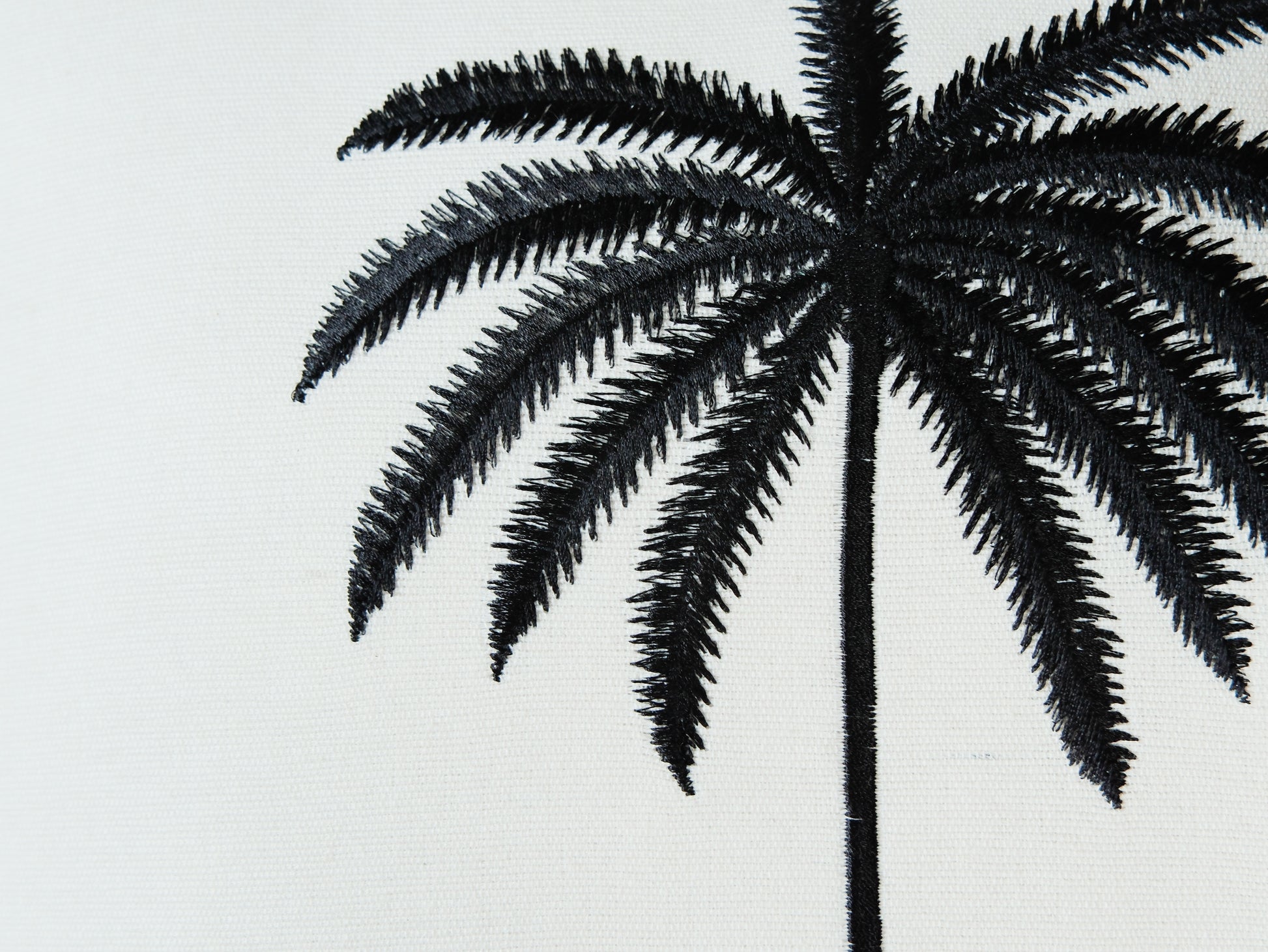 Midnight Palm｜星夜棕櫚