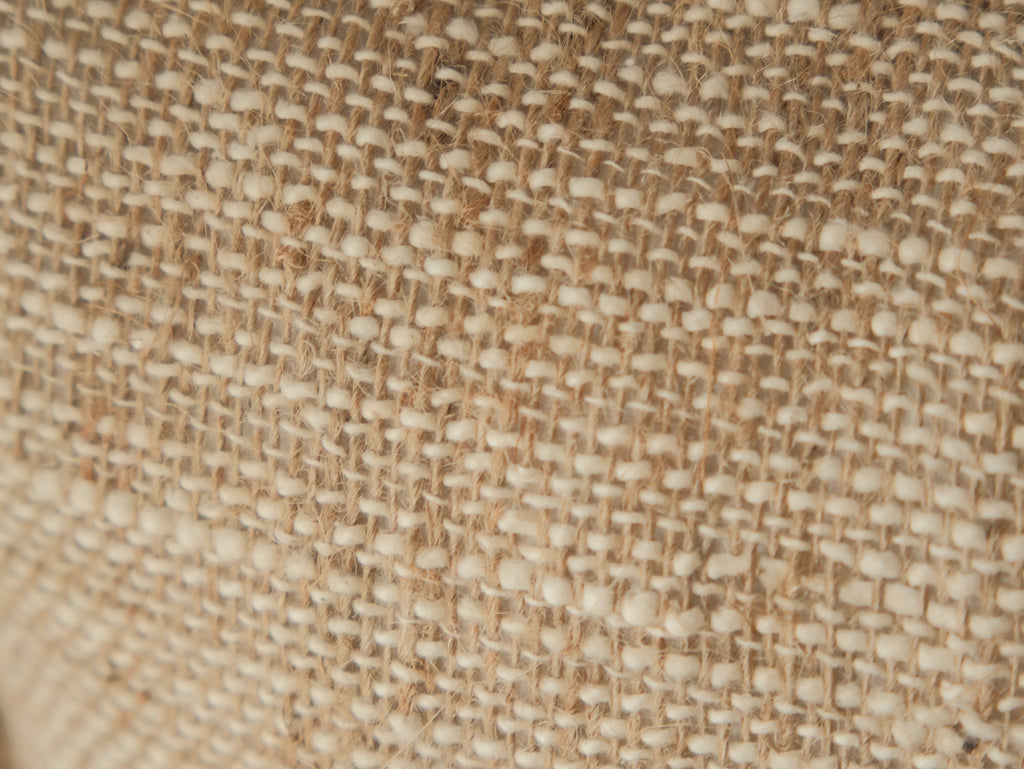 Palm Scribble Day｜ 那天，我畫了一顆棕櫚樹