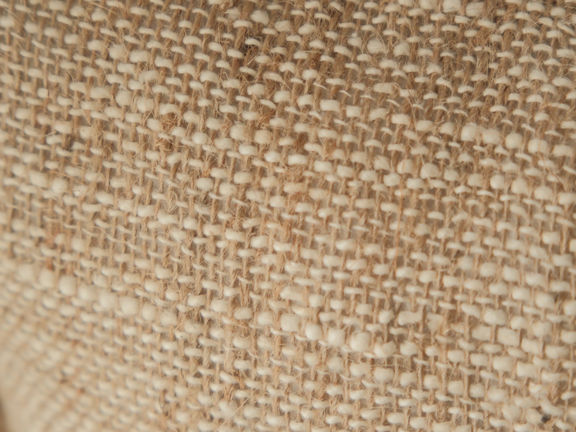 Palm Scribble Day｜ 那天，我畫了一顆棕櫚樹