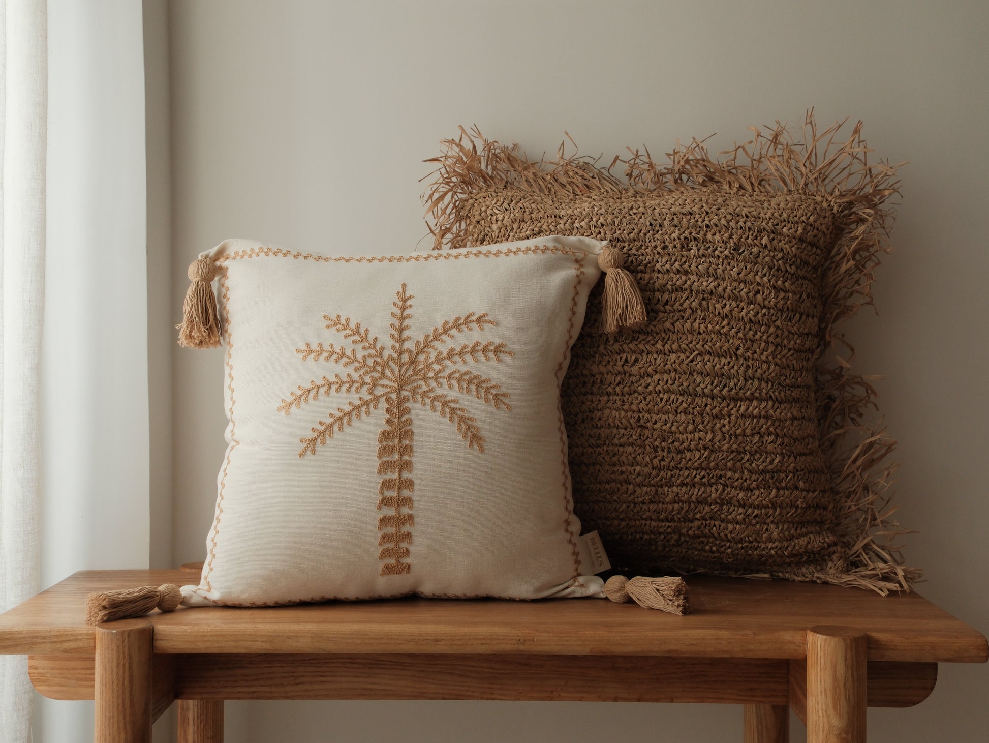 Sun-Kissed Palm｜金色陽光下的棕櫚樹