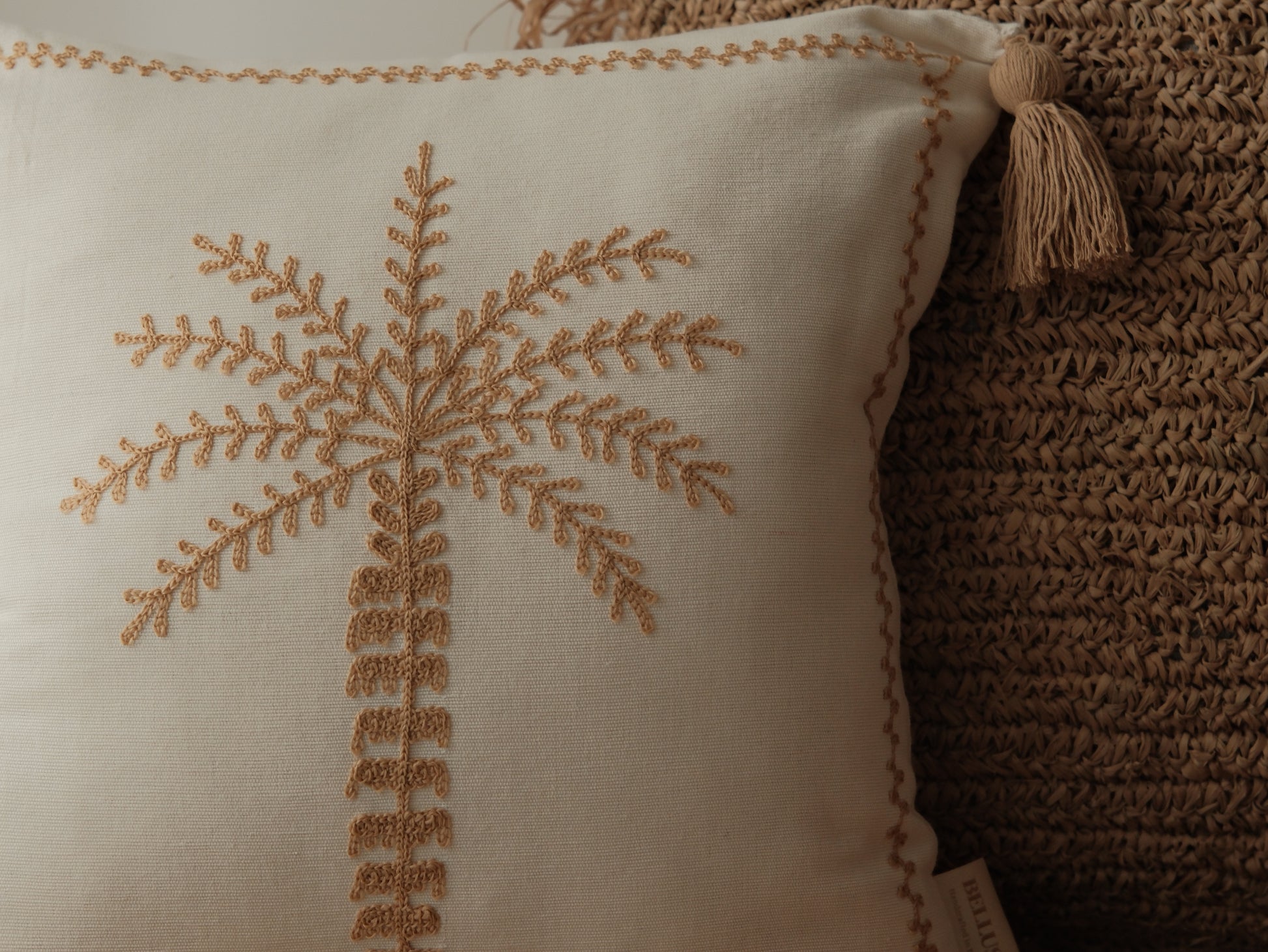 Sun-Kissed Palm｜金色陽光下的棕櫚樹