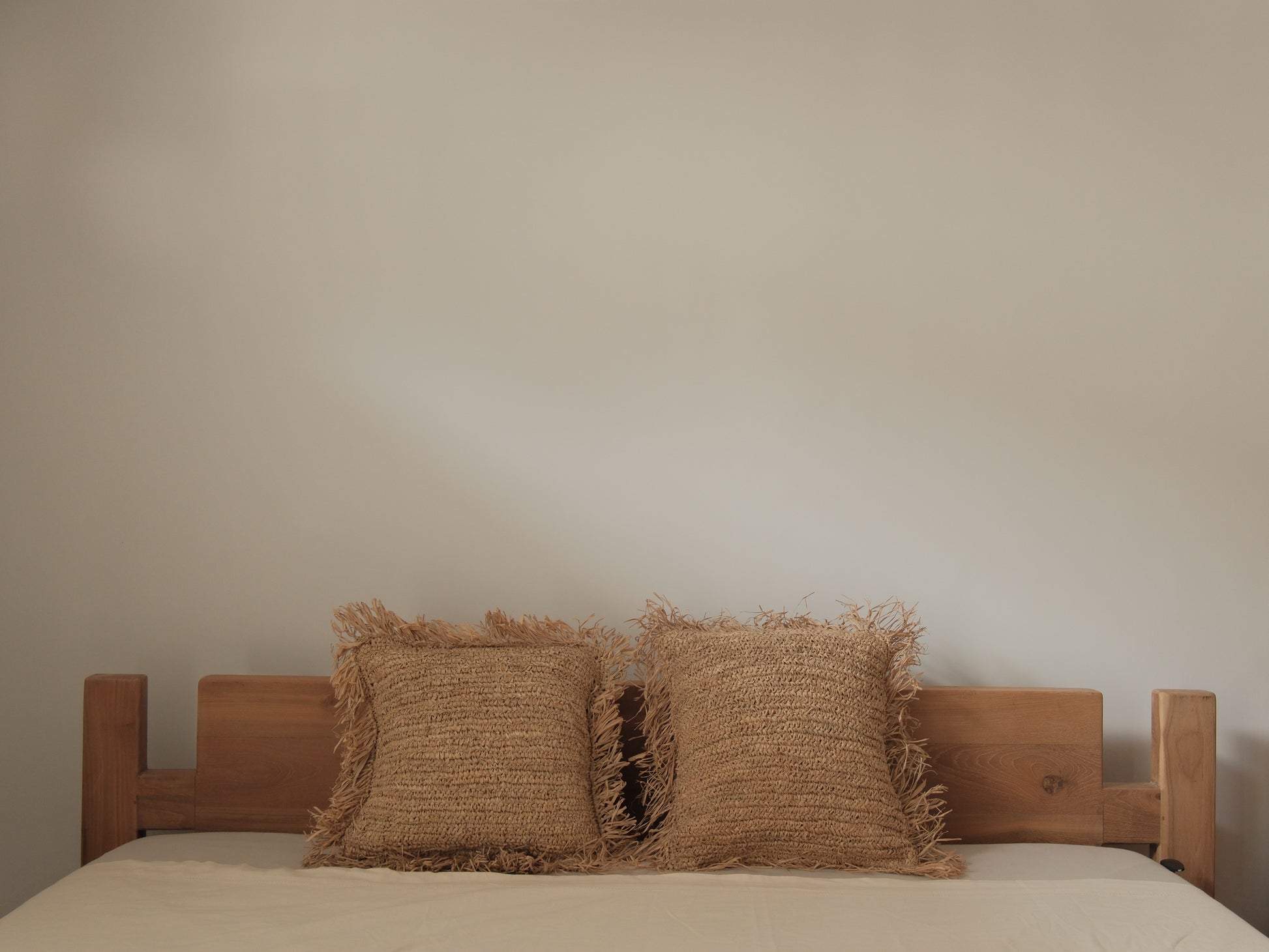 TropiCush｜熱帶抱抱