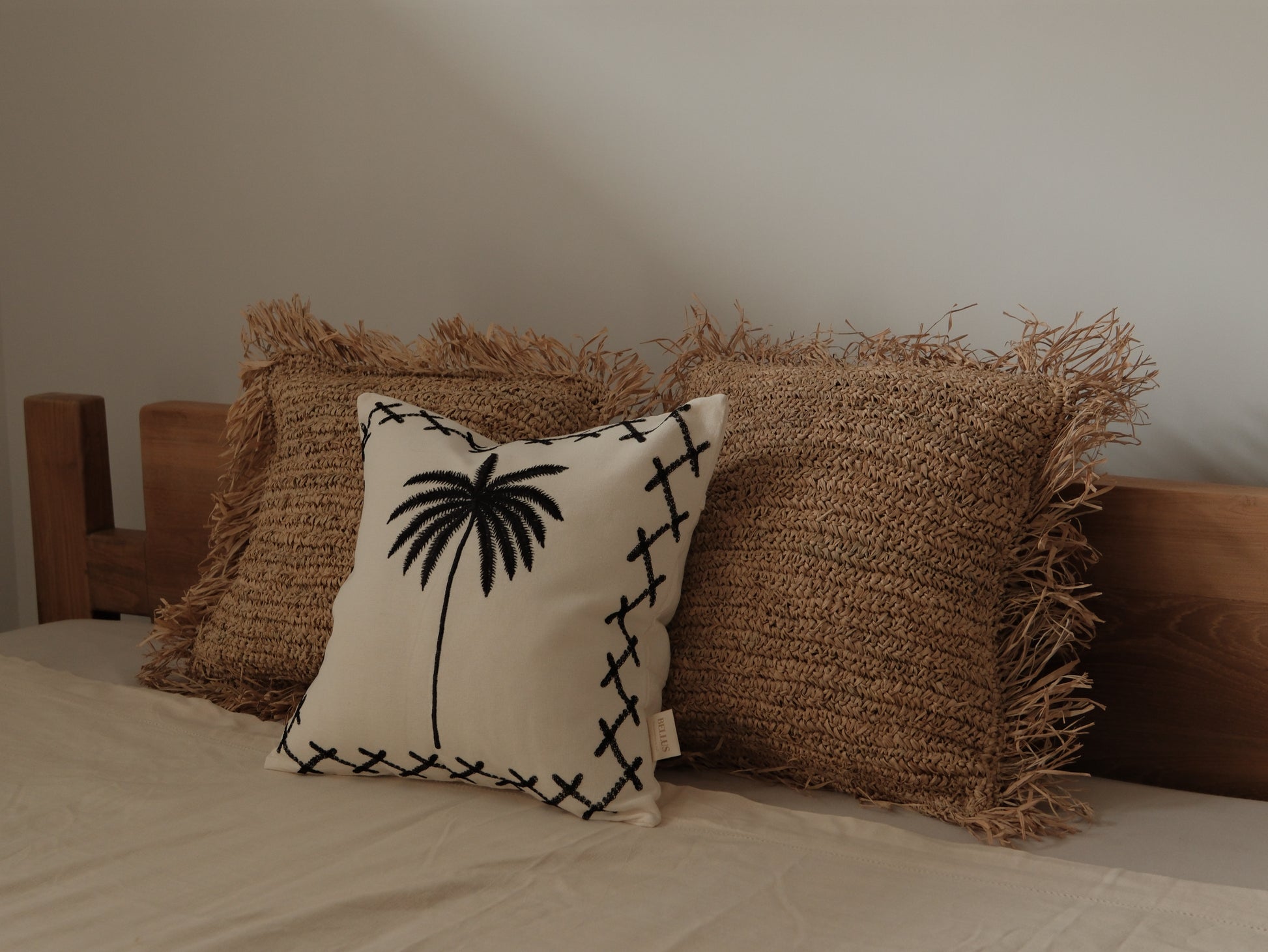 Midnight Palm｜星夜棕櫚