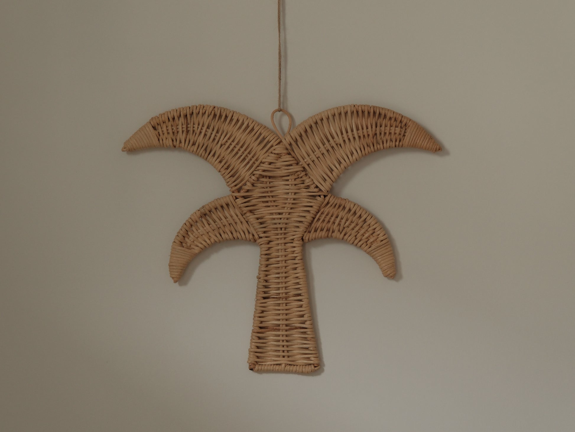 Rattan Palm Tree｜藤編棕櫚