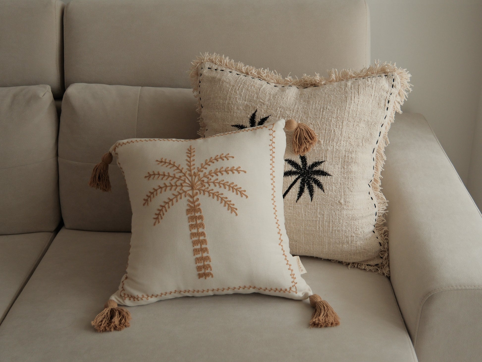 Sun-Kissed Palm｜金色陽光下的棕櫚樹