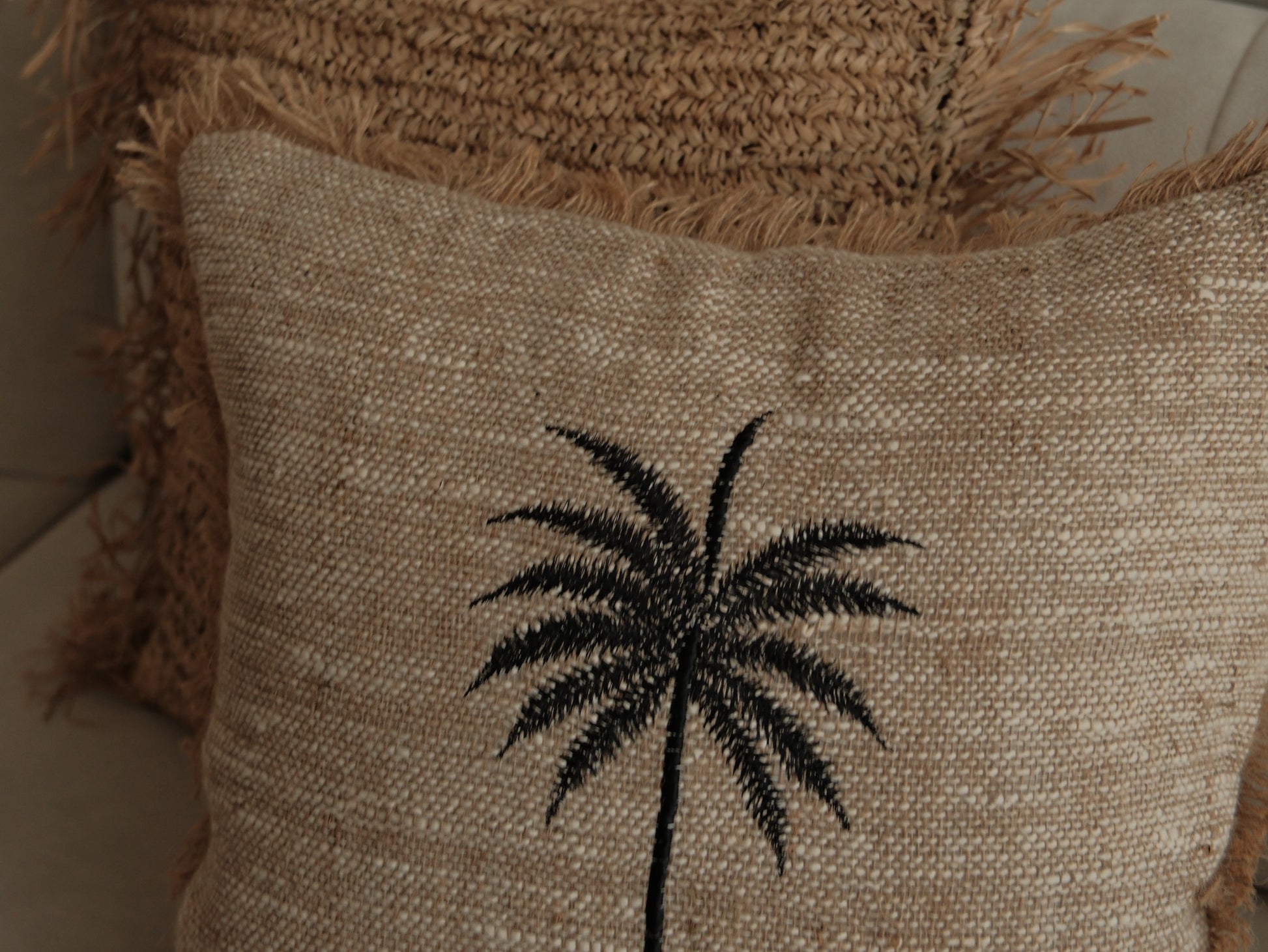 Palm Scribble Day｜ 那天，我畫了一顆棕櫚樹