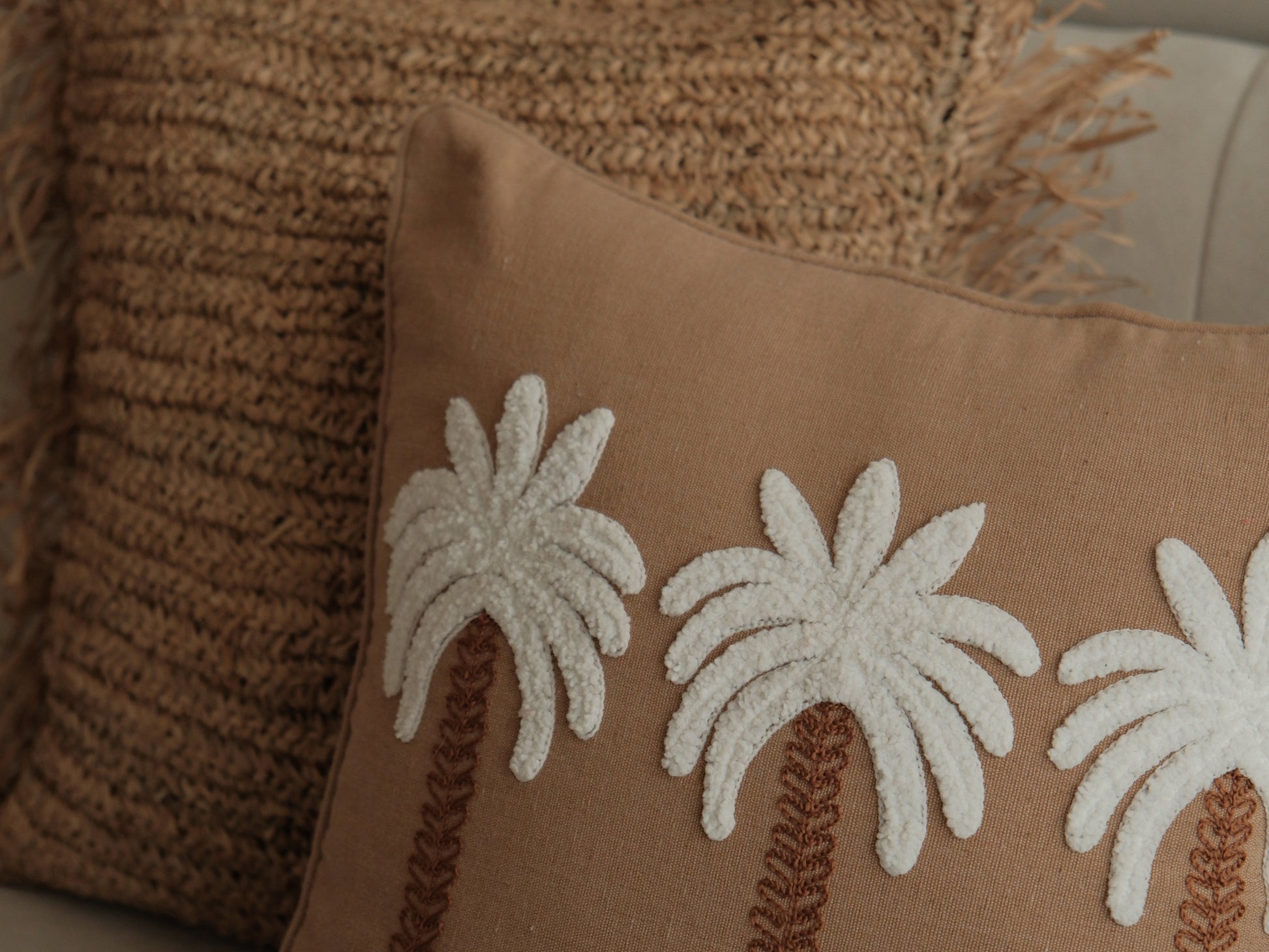 Fuzzy Palm Pals ｜毛絨絨的棕櫚夥伴